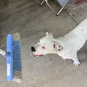 Meet your Posher, Charly